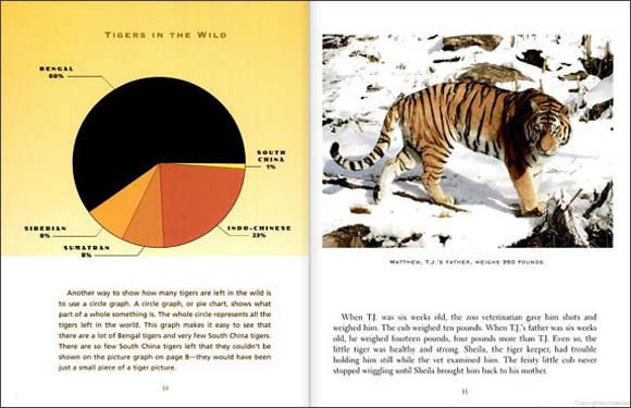 tiger-math-a-great-book-for-teaching-graphs-to-kids