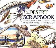 The Desert Habitat In Children S Books